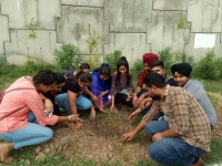 Participation of student in tree Plantation drive