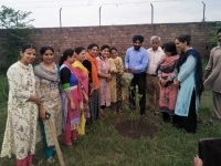 Tree Plantation Activity in College Campus 5-8-19