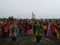 Teej Celebration