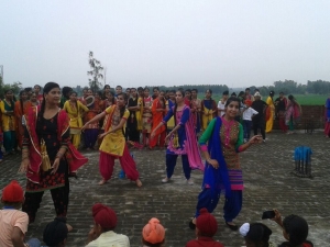 Teej Celebration (14)