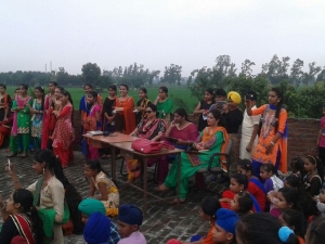 Teej Celebration (3)