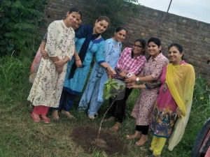 TREE-PLANTATION-ACTIVITY-IN-COLLEGE-CAMPUS-5-8-19-Image-2